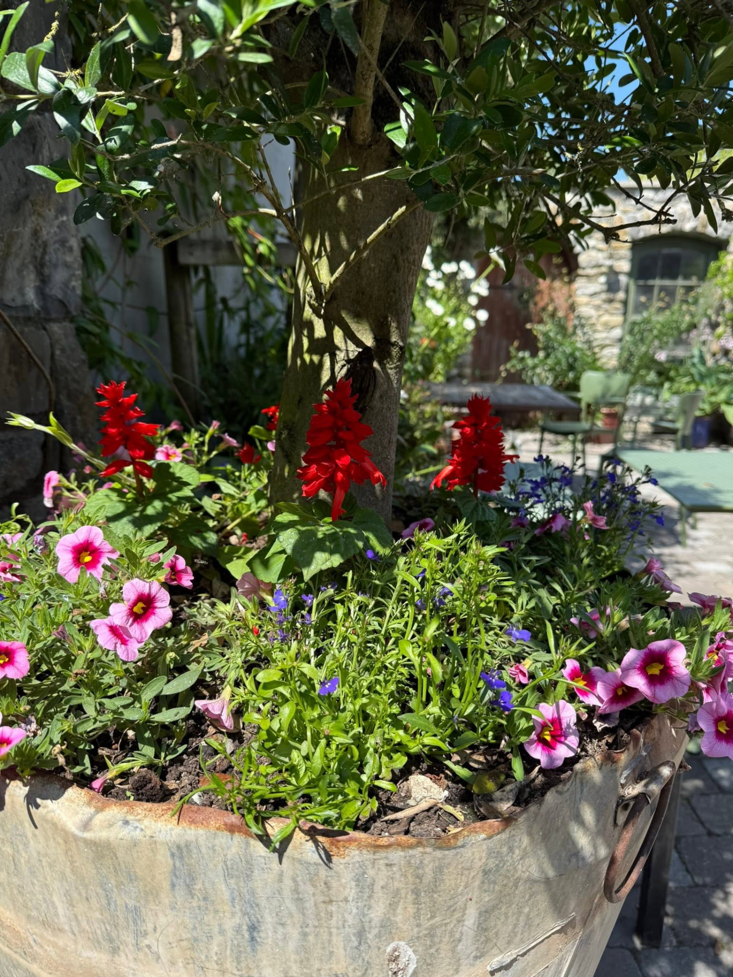 Flower planter in the courtyard