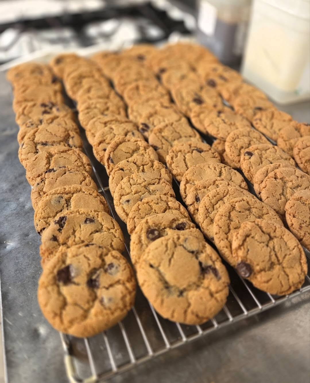 Chocolate chip cookies cooling on the rack
